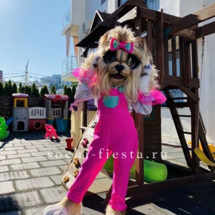 Аниматор Гламурная Собака в Оренбурге