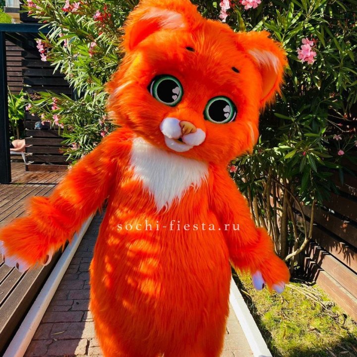 Аниматор Котик в Оренбурге