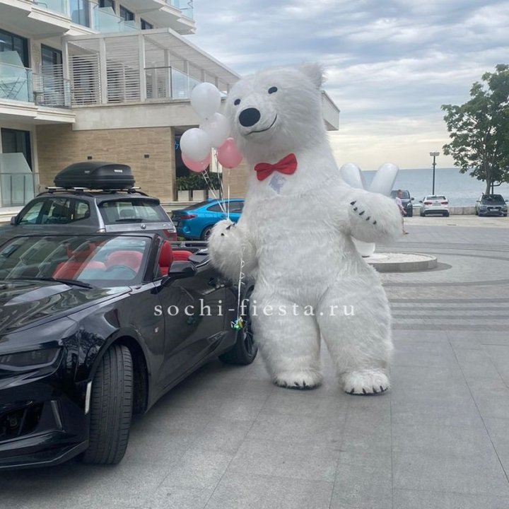 Аниматор Белый Медведь в Оренбурге