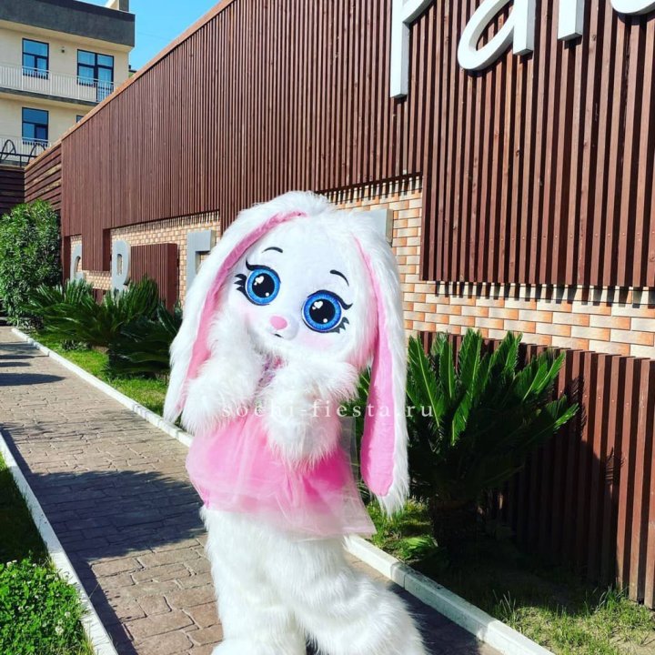 Аниматор Зайка в Оренбурге