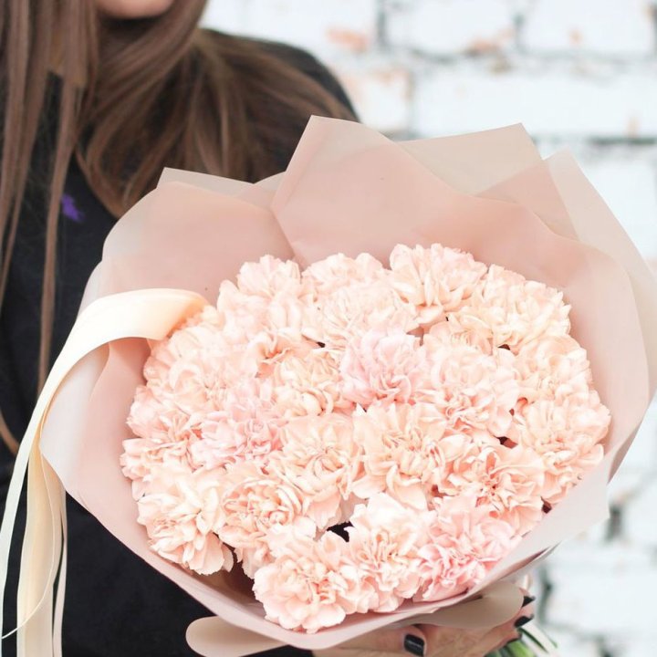 Диантусы №2 в Оренбурге