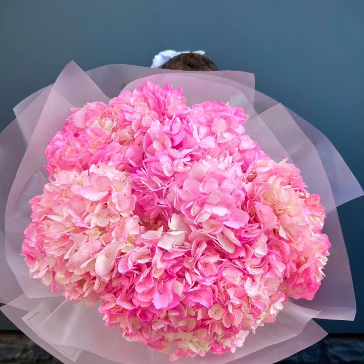 9 ярко розовых гортензий в Оренбурге