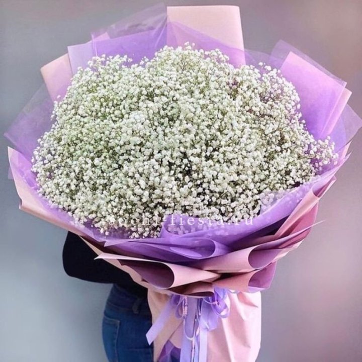 Облако белых гипсофил в Оренбурге