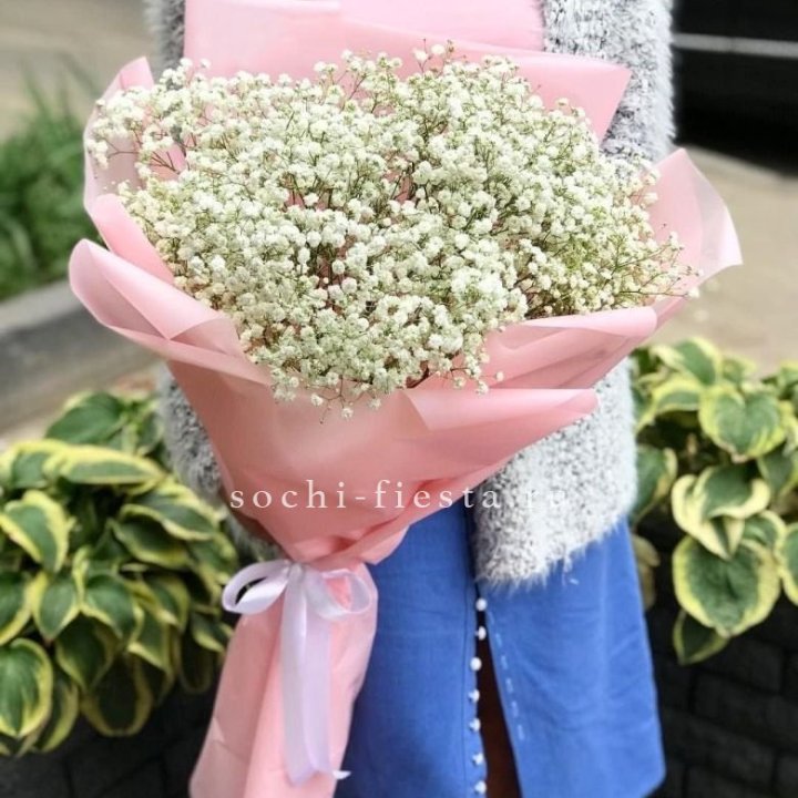 Белоснежные гипсофилы в Оренбурге