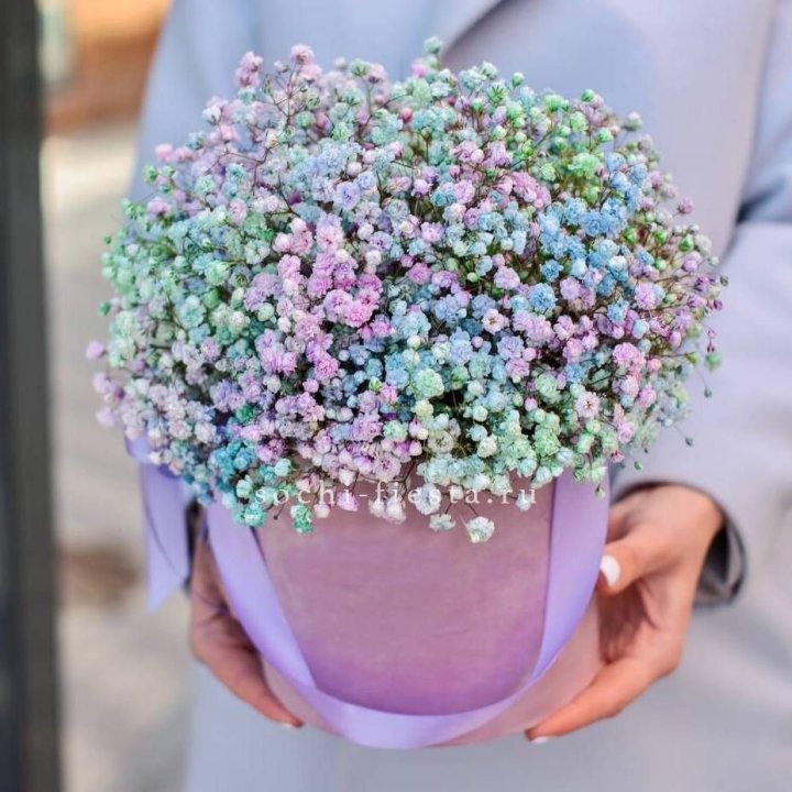 Гипсофилы в шляпной коробке "Кандилайт" в Оренбурге