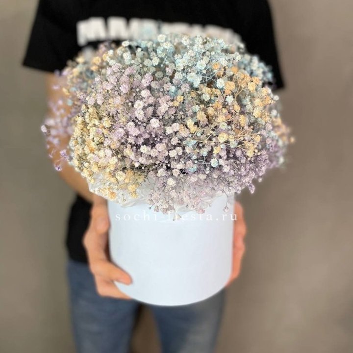 9 Радужных гипсофил в шляпной коробке в Оренбурге