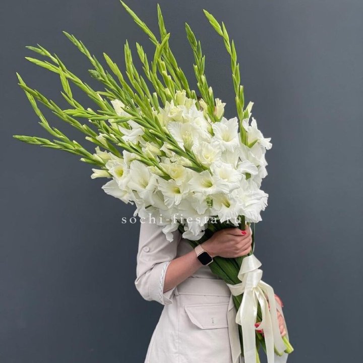 19 белых гладиолусов под ленту в Оренбурге