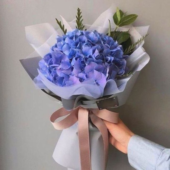 Гортензия голубая в Оренбурге