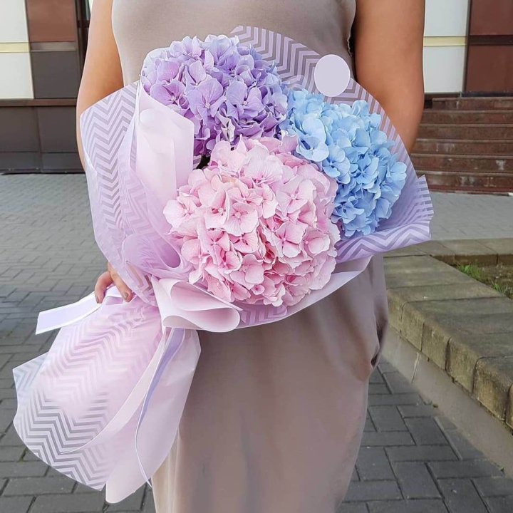 Букет гортензий "Пуф" в Оренбурге