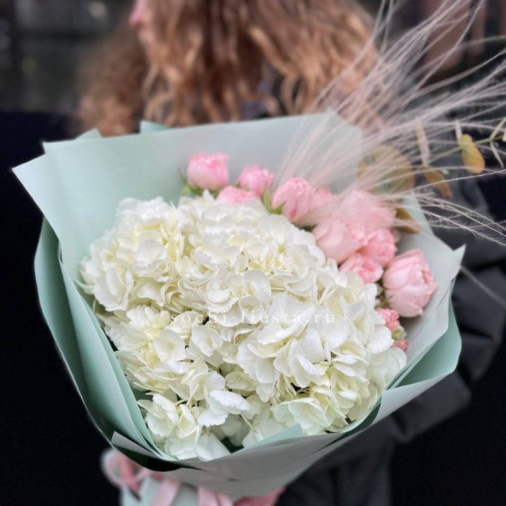 Гортензия "Жасмин" в Оренбурге