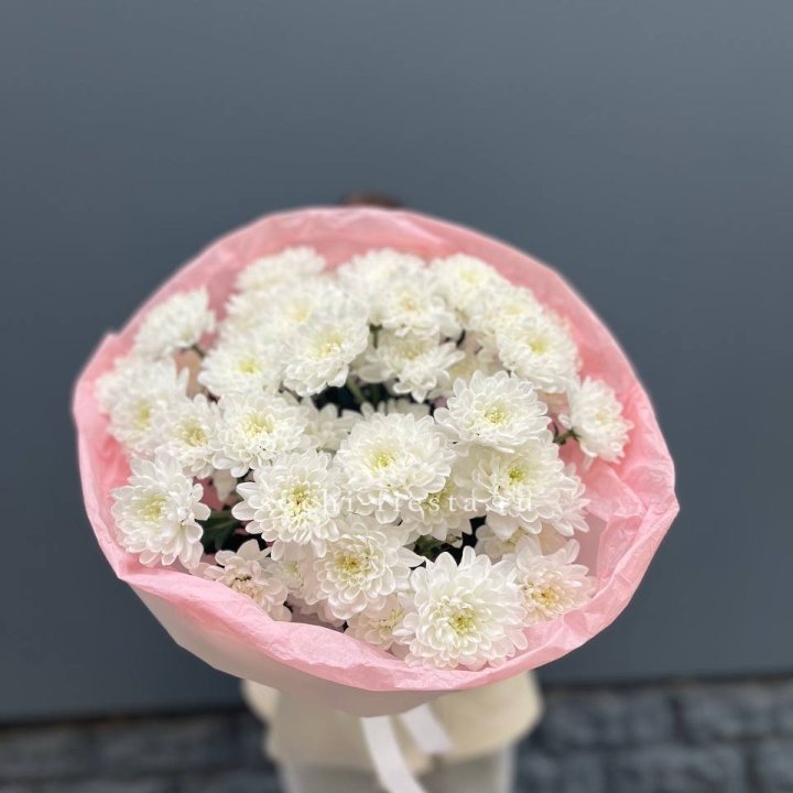  5 хризантем  в Оренбурге