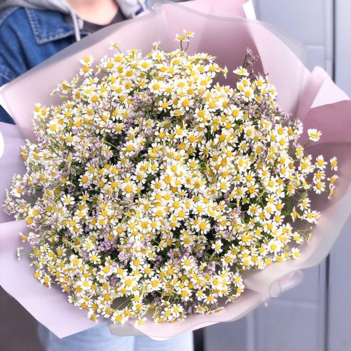Букет ромашек №1 в Оренбурге
