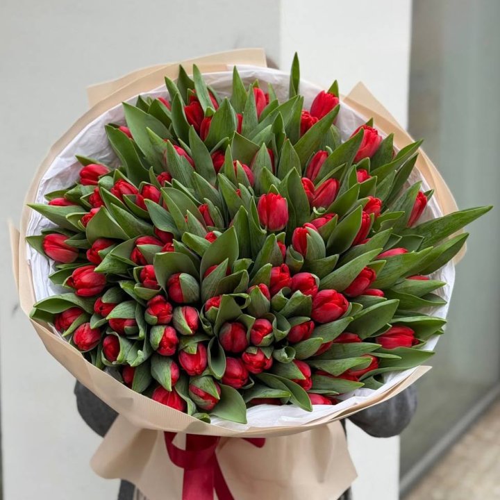 101 красный тюльпан в Оренбурге