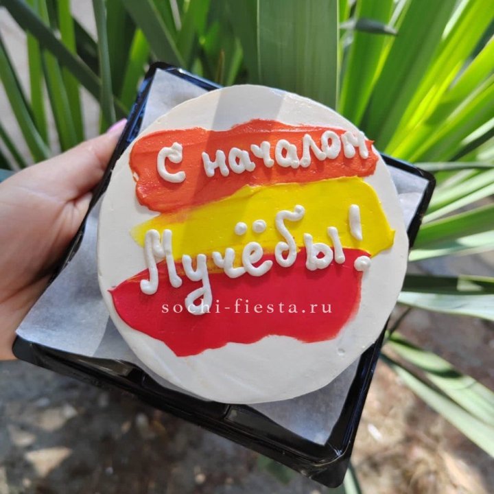 Бенто-торт "С началом учёбы"" в Оренбурге