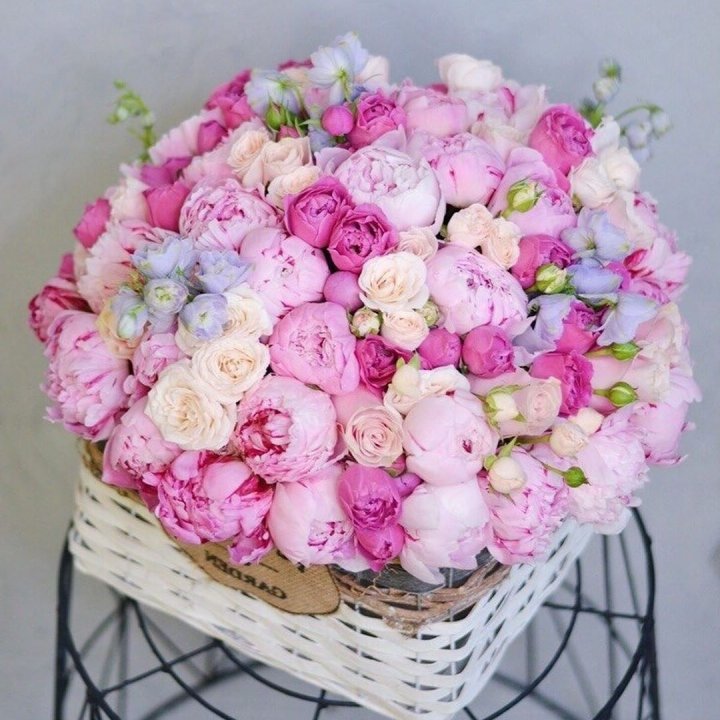 Композиция "Черри" в Оренбурге