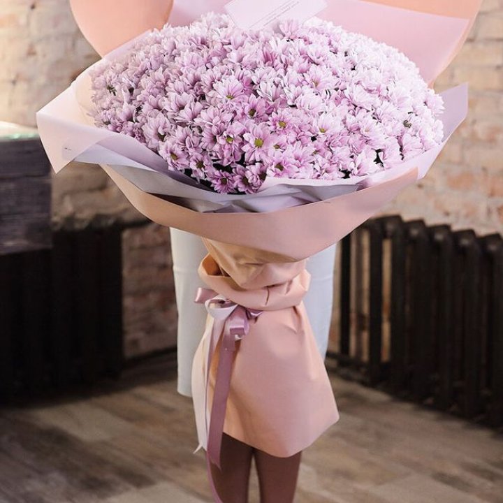 Облако хризантем №1 в Оренбурге