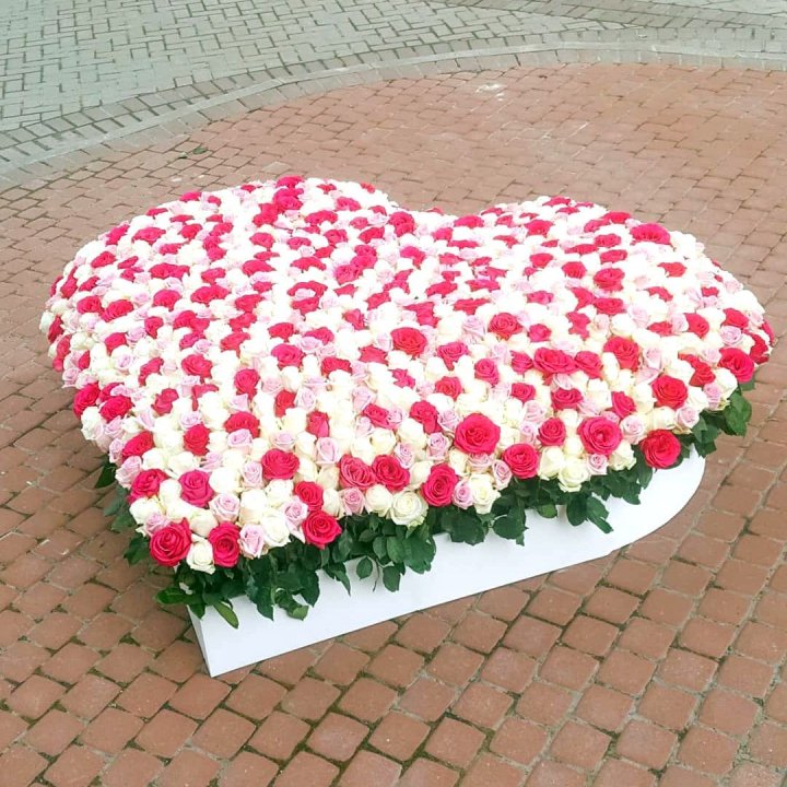 555 роза  в Оренбурге