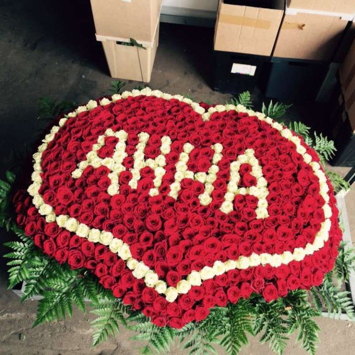 555 роз с именем в Оренбурге