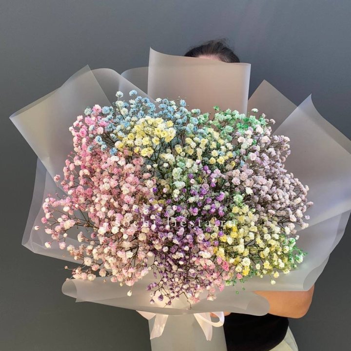 Радужные гипсофилы  в Оренбурге