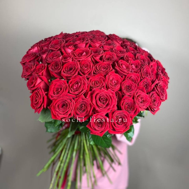 101  голландская роза  в Оренбурге