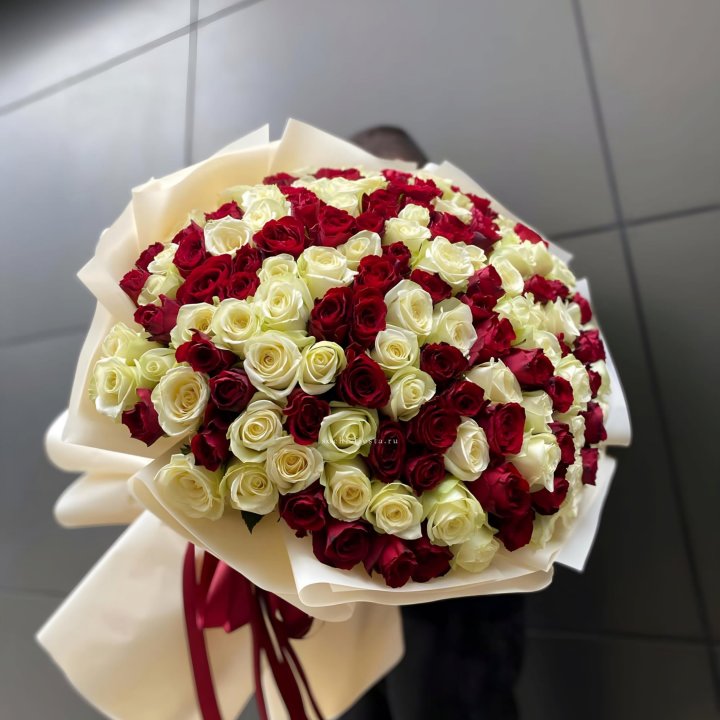 101 высокая импортная роза  в Оренбурге