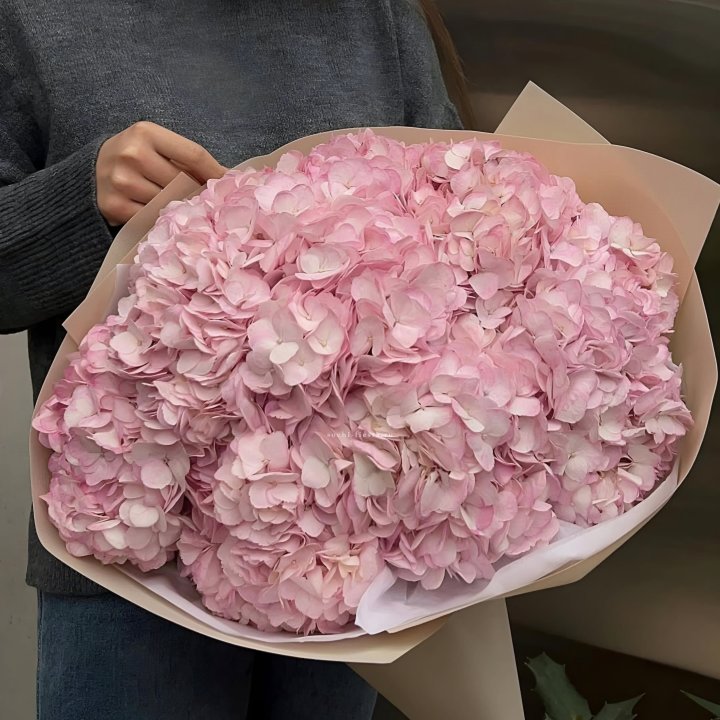 Гортензия  "РОЗЕ" в Оренбурге