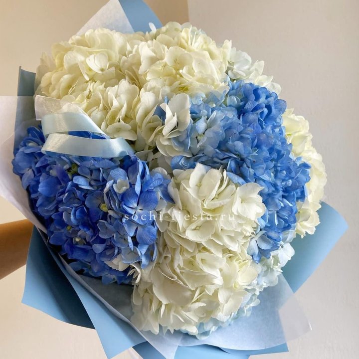 Букет гортензий "Голубая лаза" в Оренбурге