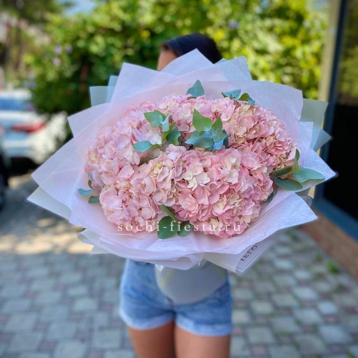 5 розовых гортензий  в Оренбурге