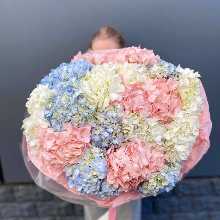 19 гортензий микс в Оренбурге