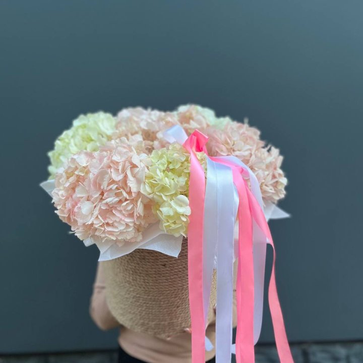 7 гортензий в кашпо в Оренбурге