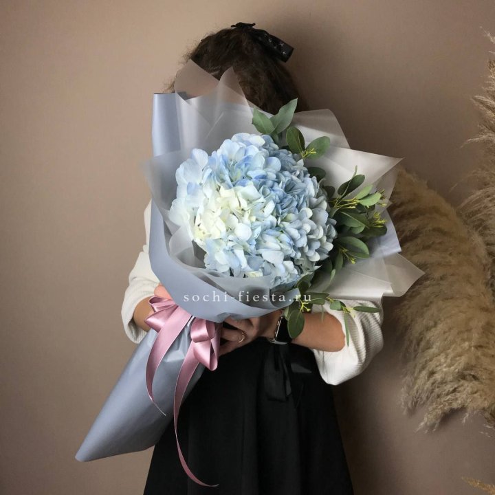 Гортензия Уно в Оренбурге