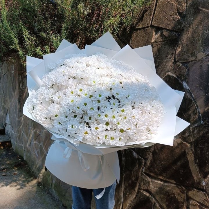 Облако хризантем №2 в Оренбурге