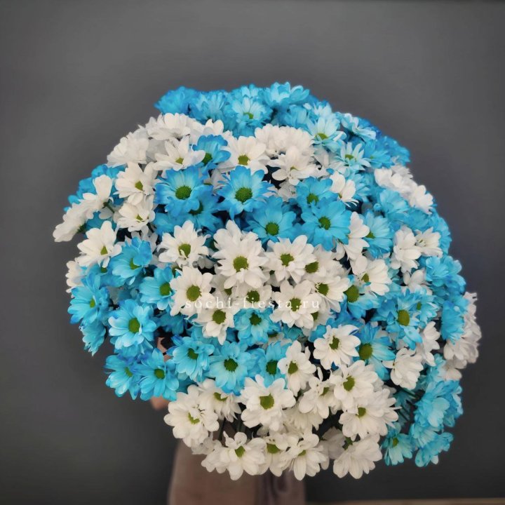  Букет хризантем микс в Оренбурге