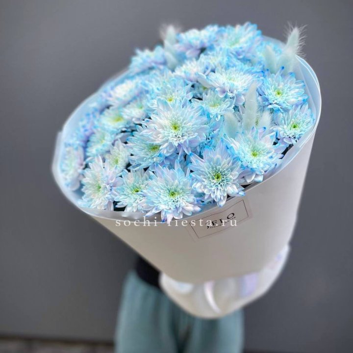  Букет нежно-голубых хризантем  в Оренбурге