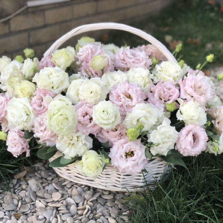 Корзина с эустомой в Оренбурге