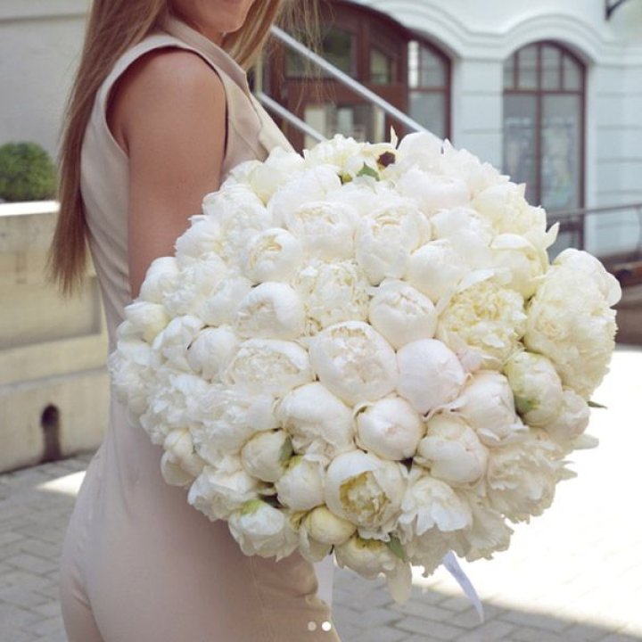 51 белый пион в Оренбурге