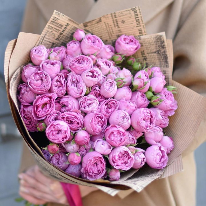 Роза Мисти Баблс в Оренбурге