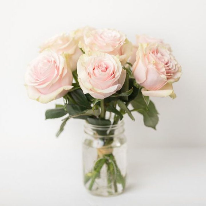 7 кремовых роз в Оренбурге