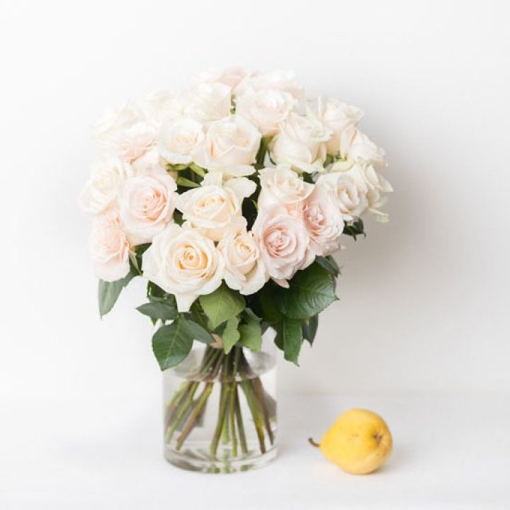 25 кремовых роз в Оренбурге