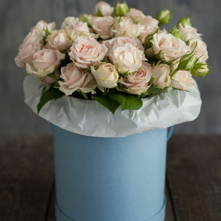 Бокс с бомбастиком в Оренбурге