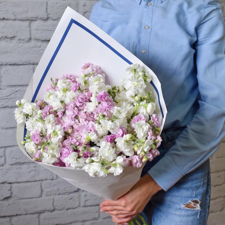 Маттиола в Оренбурге