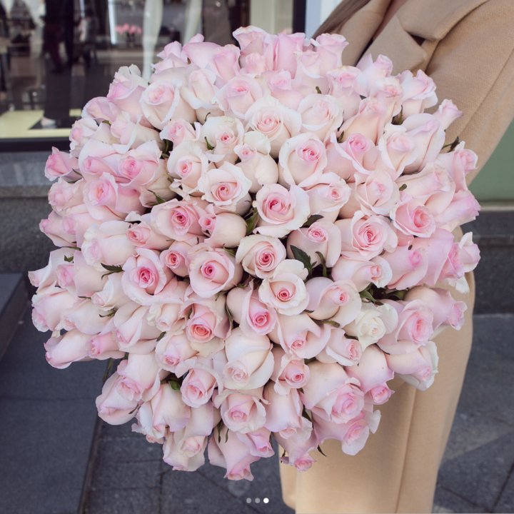 Розы "Пинк бум" в Оренбурге