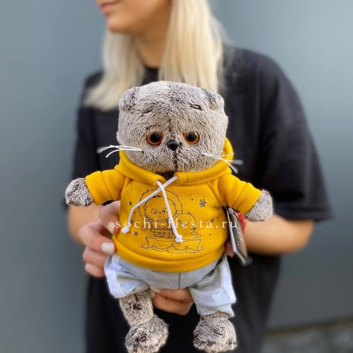 Кот Басик в худи в Оренбурге