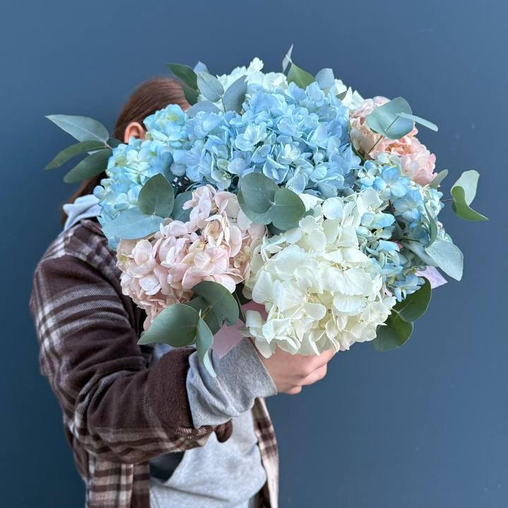 Гортензии в коробочке в Оренбурге