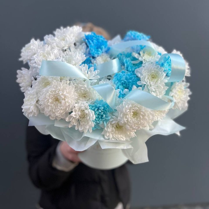 Хризнтемы в боксе в Оренбурге