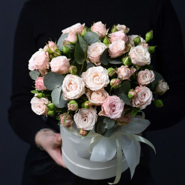 Бомбастик бокс №2 в Оренбурге