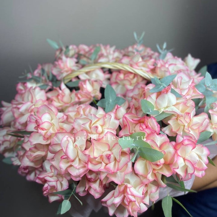 51 джумилия  в корзине   в Оренбурге