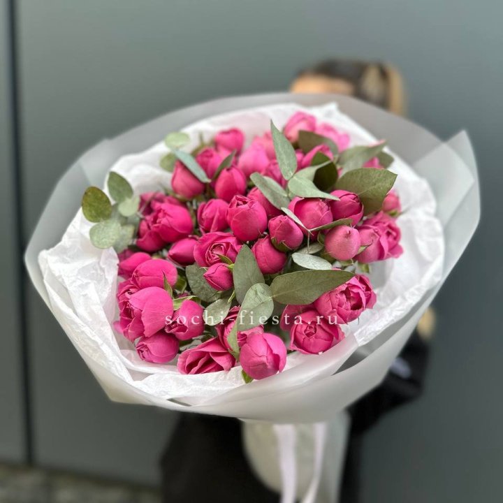 17 Мисти бабблс в Оренбурге