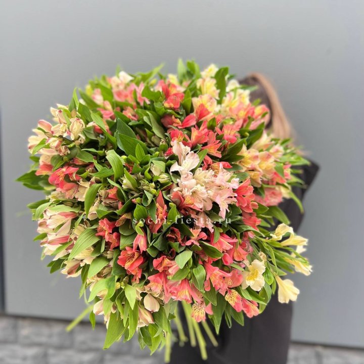 51 альстромерия в Оренбурге