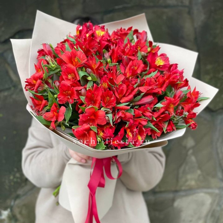 51 альстромерия в Оренбурге